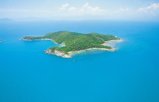 Bedarra Island